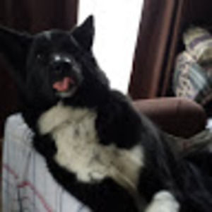 Meet your Posher, Yvette